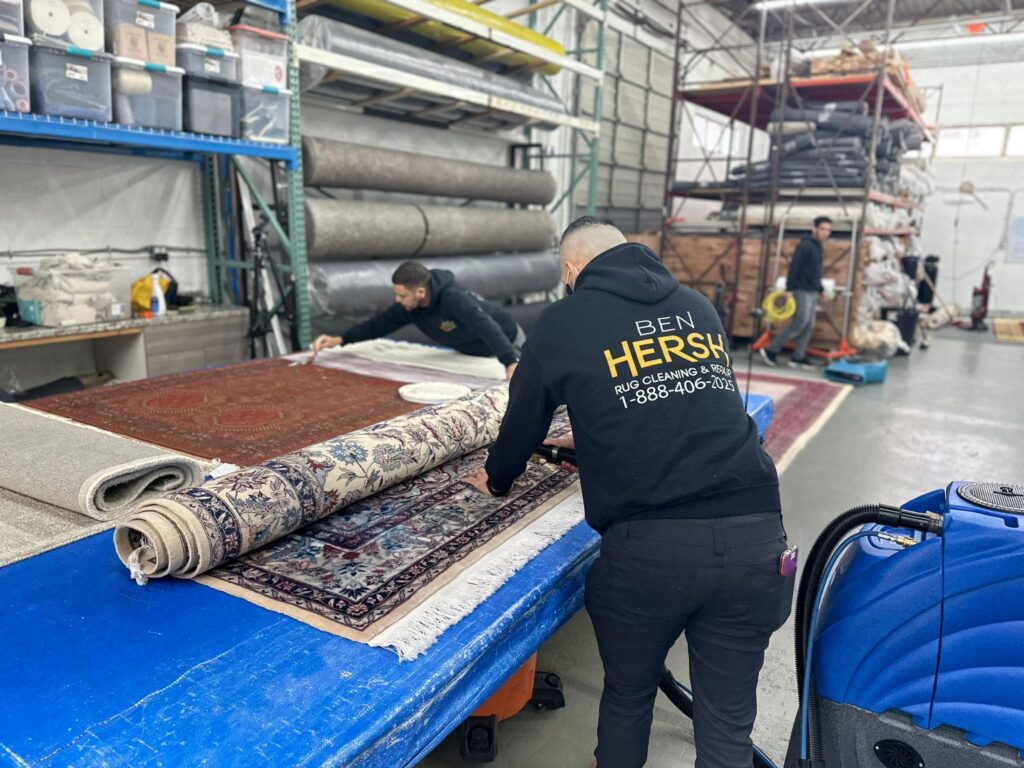 rug cleaning near me 19066