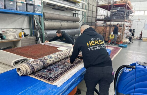 rug cleaning near me 19066