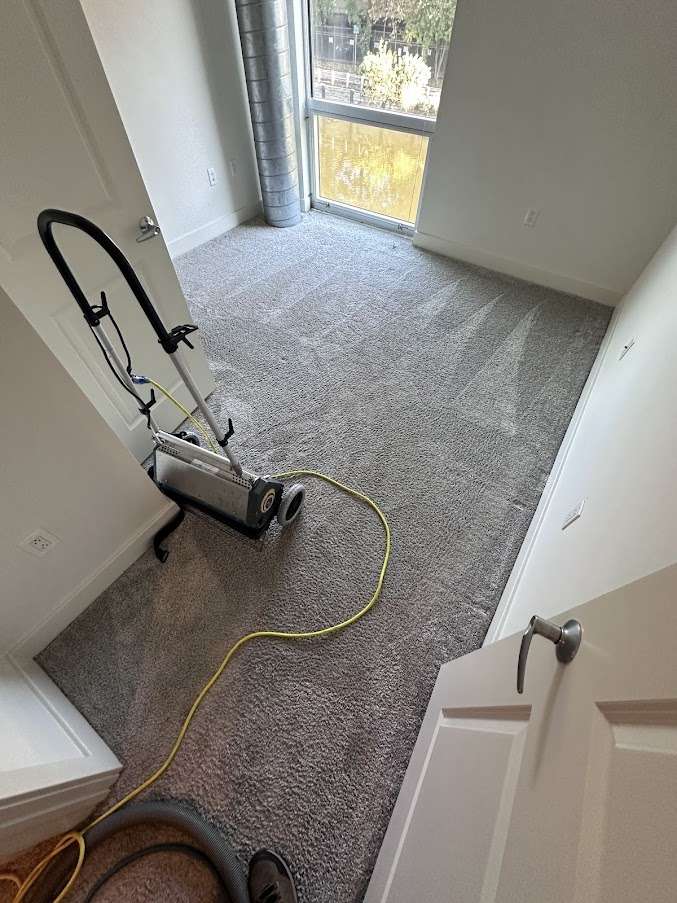 A freshly vacuumed, light gray carpeted room with a carpet cleaning machine and yellow cord, viewed from the doorway. Sunlight streams through a large window, and professional carpet cleaners’ vacuum lines mark the clean, empty space.